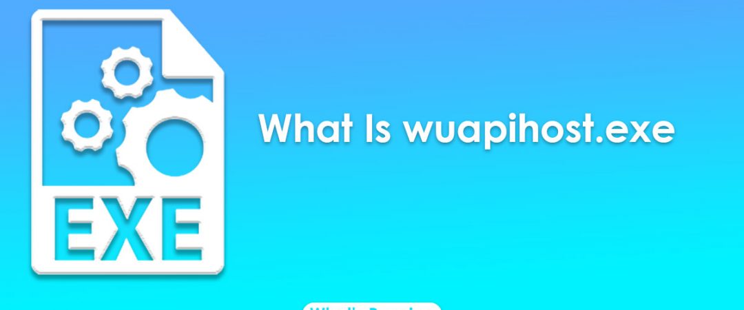 What Is wuapihost