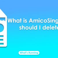 What is AmicoSinglun and should I delete it?
