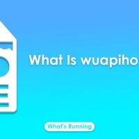 What Is wuapihost.exe & It Is Safe?