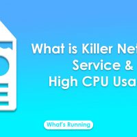 What is Killer Network Service & High CPU Usage? [QUICK SOLUITION]