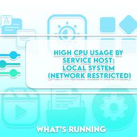 High CPU Usage by Service Host: Local System (Network Restricted)